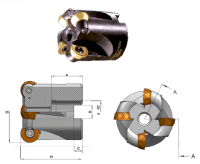 43249_R654.21-040 RPMX